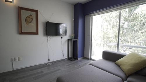 Del Valle Apartment | One Bedroom Apartment Del Valle
