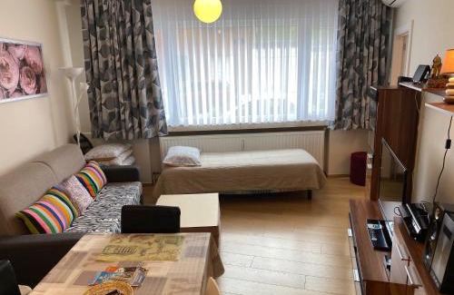 Laken Apartment | One-bedroom Apartment near Atomium