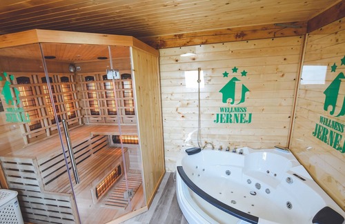 Brezice Apartment | One Bedroom Apartment Marjana with Onsite Wellness