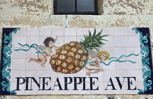 Laurel Park Apartment | One Bedroom Apartment #3 in Historic Burns Square district, downtown Sarasota