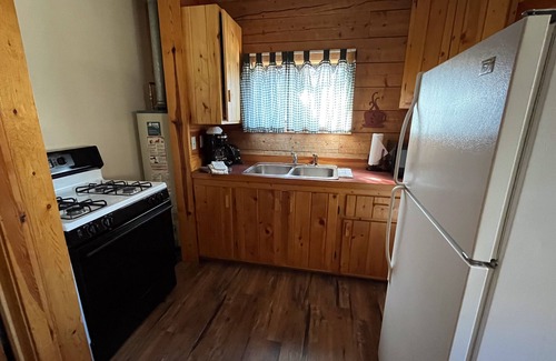 Almont Cabin | One Bedroom Cabin with Ample Parking and Space from Neighboring Cabins