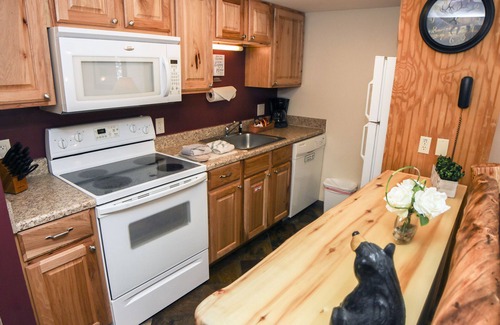 Estes Park Condo | One Bedroom Condo only Steps from Fall River