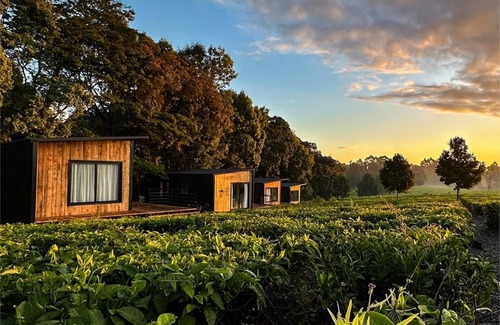 Limuru Ski Chalet | One Bedroom Dwelling