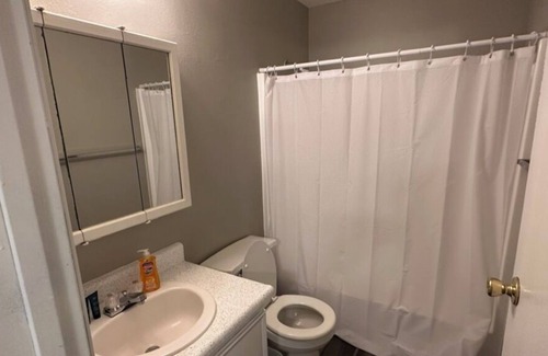 Fort Lewis Apartment | One-bedroom near JBLM 06
