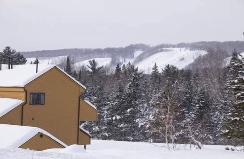 Harbor Springs Condo | One Bedroom, Spacious Trout Creek Condo #55. On-Site Amenities. Close to Nubs Nob with Free Shuttle