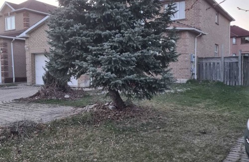Hurontario House | One Bedroom Suite Basement Apartment with private Toilet