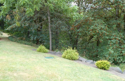 Newberg Apartment | One Bedroom Suite on 1.5 Acres in Wine Country