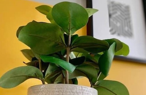 Fall Creek Place Apartment | One of a Kind Luxury DTWN Apt w/ Gym, Free Parking