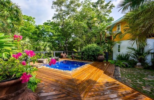 Dixon Cove House | One-of-a-Kind Luxury Treehouse Eco Oasis with Private Beach Access