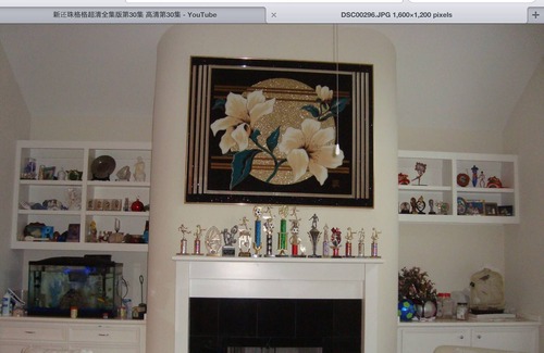 Willow Meadows/Willowbend Area House | One room with private bath for rent, near medical center & NRG.Prefer long term.