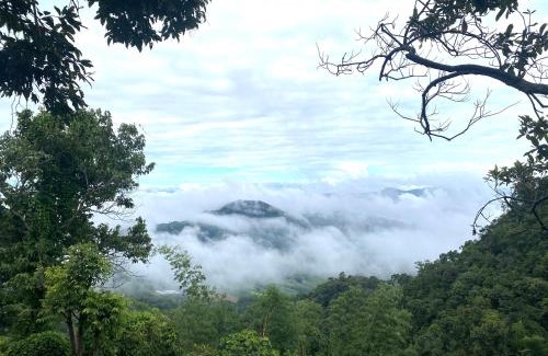 Chiang Rai Province Villa | One villa coffee farm stay 2