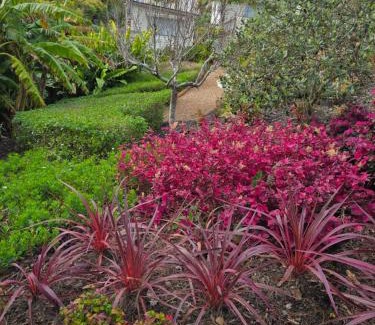 Oneroa Apartment | Oneroa Secret Garden Apartments