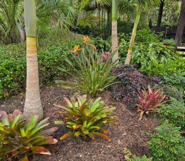 Oneroa Apartment | Oneroa Secret Garden Apartments