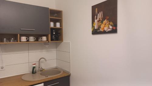 Orfu Apartment | Onix-Vital Apartman Orfű