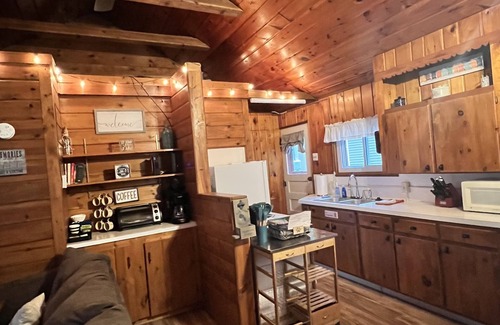 Higgins Lake Cabin | Only 500 feet from Higgins Lake with shared lake access