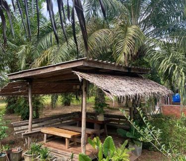 Chumphon Hostel | Onlyfan hostel