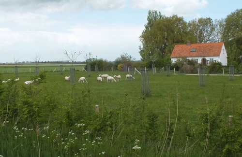 De Moeren House | Ontdek de Kracht van de Rust, Dichtbij de Kust!