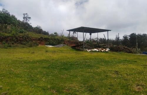 Ooty House | ooty dreams cottage