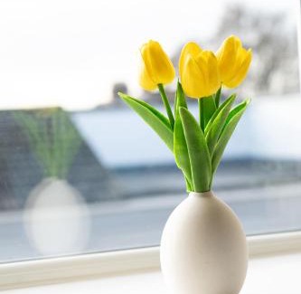 Gosport Apartment | Open Mind Property - 2 Bedroom Flat