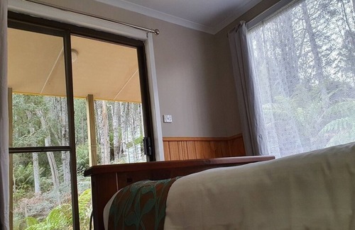 Moina Cottage | Open plan, kitchenette, spa and separate shower