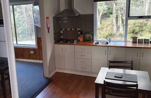 Moina Cottage | Open plan studio, kitchenette, en-suite bathroom