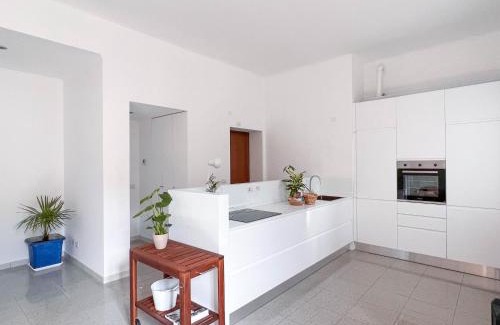 Quartiere Mazzini Apartment | Open Space Corso Lodi 75mq