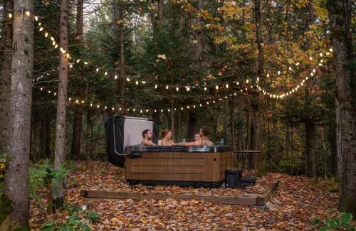 Frampton Ski Chalet | OPPY SHACK - SPA, BABY FOOT, BASKETBALL, LAC, RIVIERE