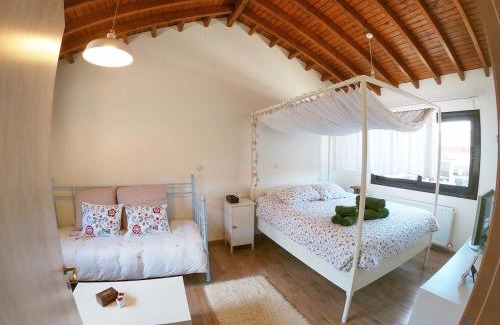 Politiko Villa | Orama Mountain Villa Farmakas