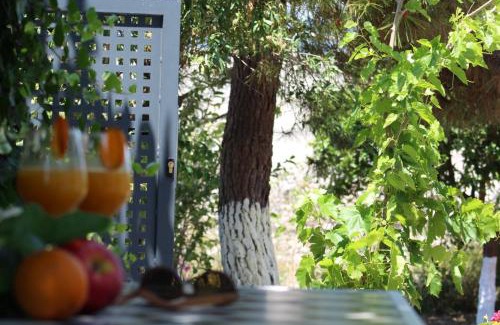 Selianitika House | ORANGE GARDEN