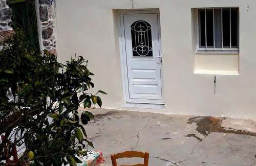 Sitia House | Orange garden