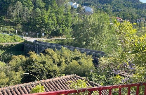 Fridao House | Orange Tree Cottage (2 bedrooms, sleeps 4)