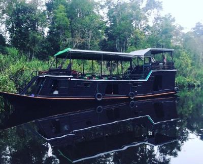 Pangkalan Bun Boat Rental | Orangutan Houseboat Park Tanjung Puting