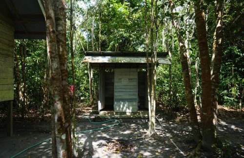 Kalimantan Cabin | Orangutan & Restoration Camp