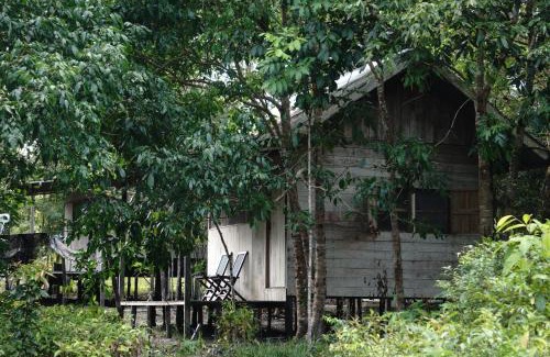 Kalimantan Cabin | Orangutan & Restoration Camp