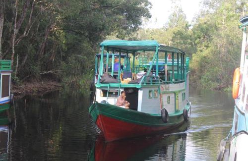 Kumai Boat Rental | Orangutan Shaka Houseboat with cabin