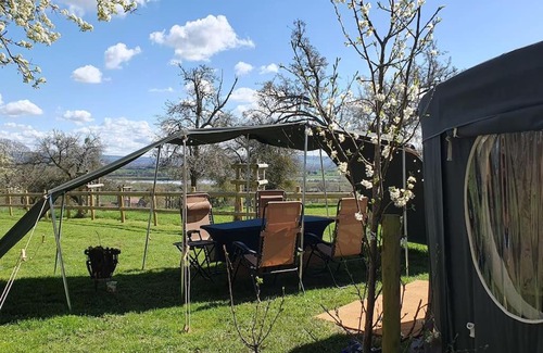 Forest of Dean House | Orchard Family Yurt, Willow Hill
