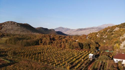 Shkoder County House | Orchard Guard Tower