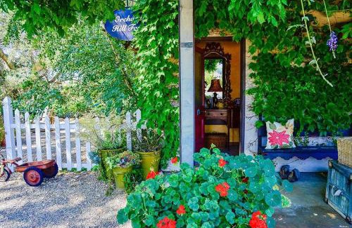Paso Robles House | Orchard Hill Farm