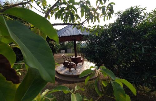 Mbarara Villa | Orchard Home Homestay