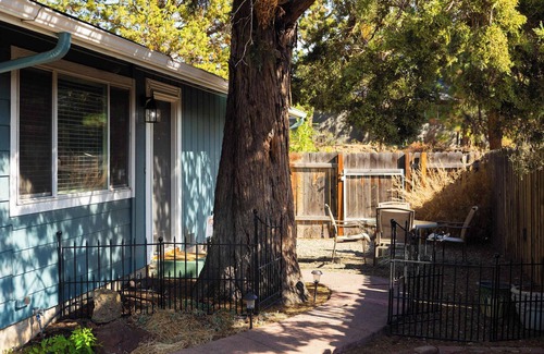 Orchard District House | Orchard Park Retreat | Perfect Year-Round for 4!