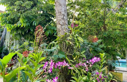 Norbrook House | Orchid Cottage