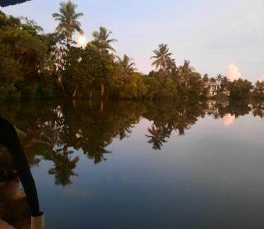 Pacific Harbour House | Orchid Island Bure
