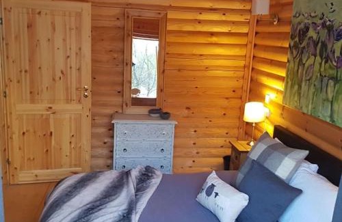 Pitlochry Ski Chalet | Orchid lodge