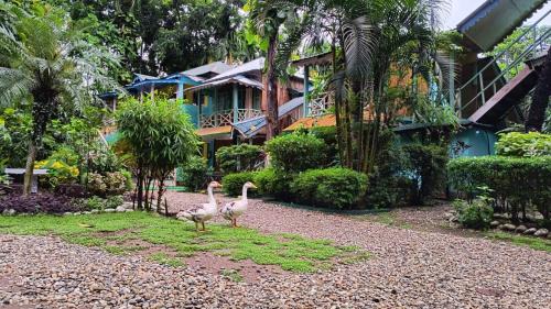 Lataguri Resort | Orchid Resort