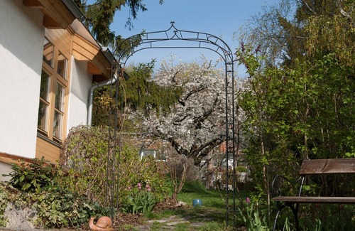 Maria Enzersdorf House | Organic home, garden & swimming pond, quiet location, Vienna reached in 15 min