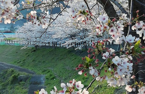 Hidakagawa House | Organic Veg&eco&traditional Farmstay D&B Included