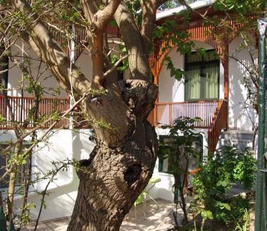 Adalar House | Orhan Kutbayin Evi