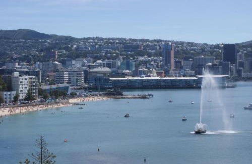 Oriental Bay Apartment | Oriental Bay At Its Best