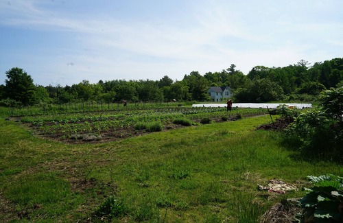 Ellison Bay Cottage | Original cottage from the 50's completely renovated, timeless . Old Door County!