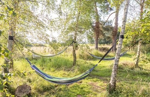 Bromsash Cabin | Orion 4-Person Stunning Lotus Belle Tent